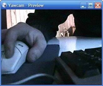 The Yawcam preview window