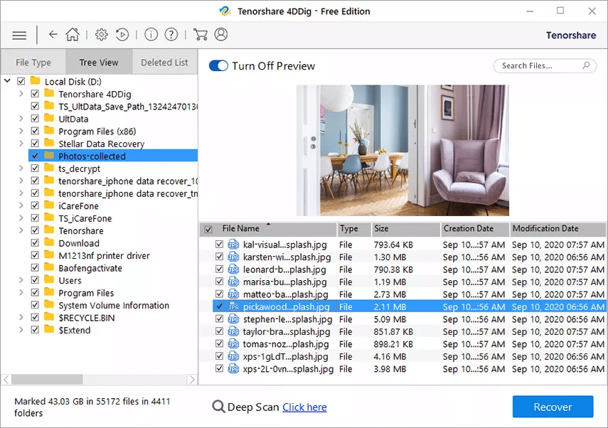 4DDig’s Tree View tab for file recovery previews