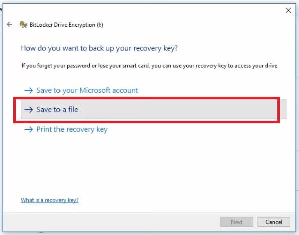 pick “Save to a file” option
