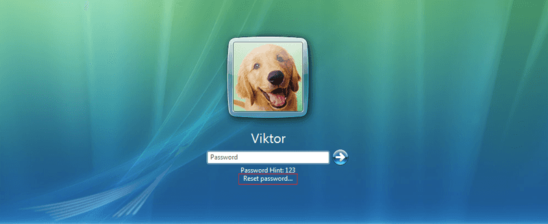 reset password option on Windows vista