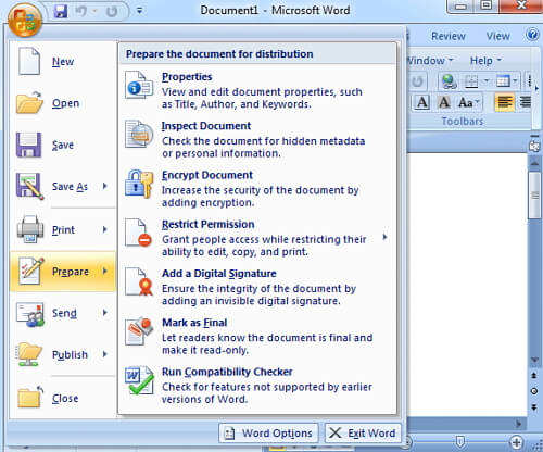 Choose Encrypt Document to remove password from Word file 2007