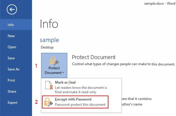 choose Encrypt with Password to remove Word document password