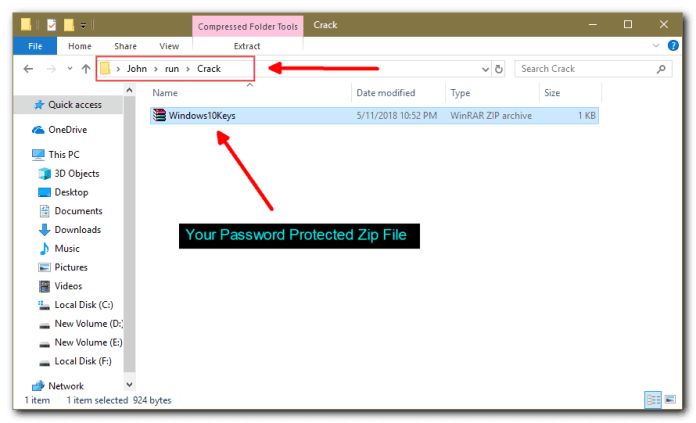 copy the password-protected zip file in the folder