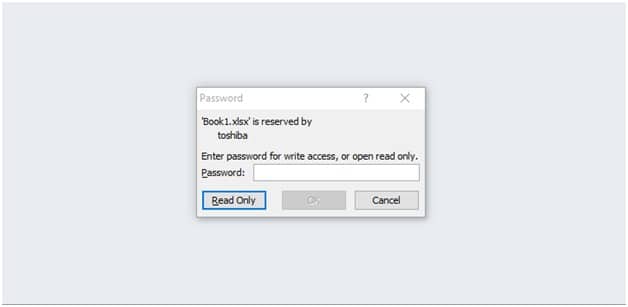 provide the password to get access the read-only Excel sheet